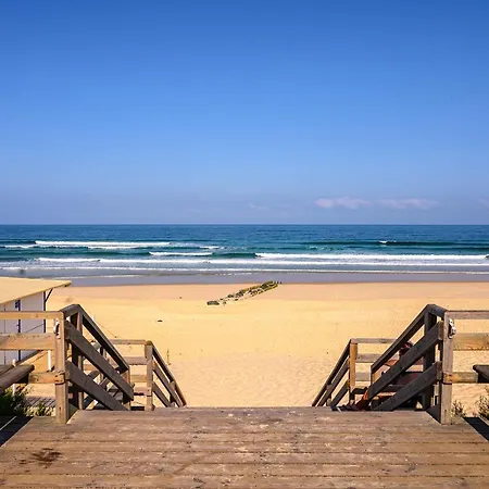 La Cabane Mathchlohome ~ 10 Min A Pied De L'ocean * Mimizan